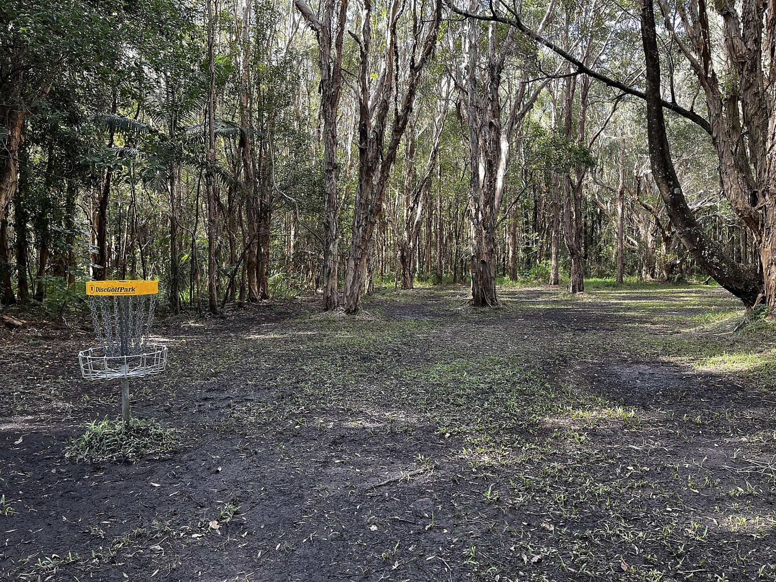 Disc golf basket among trees at Ballina, Australia
