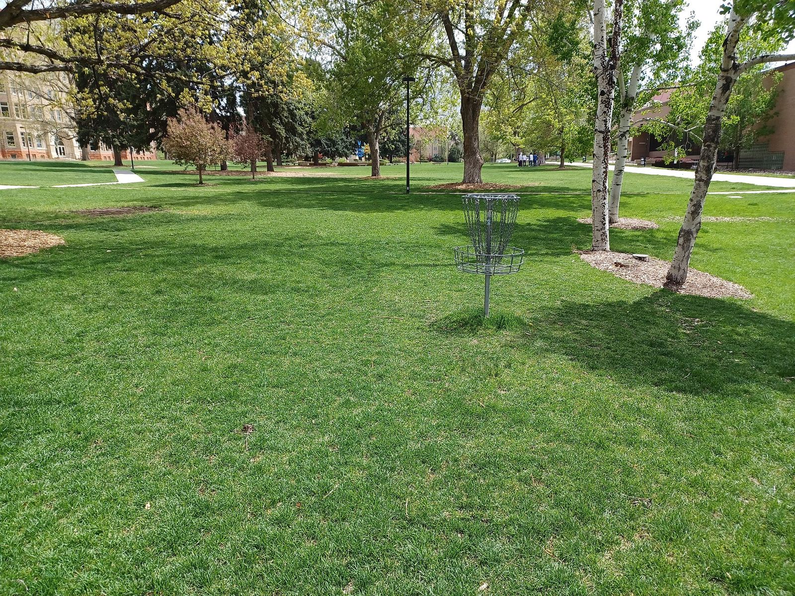 Disc golf basket on a campus quad