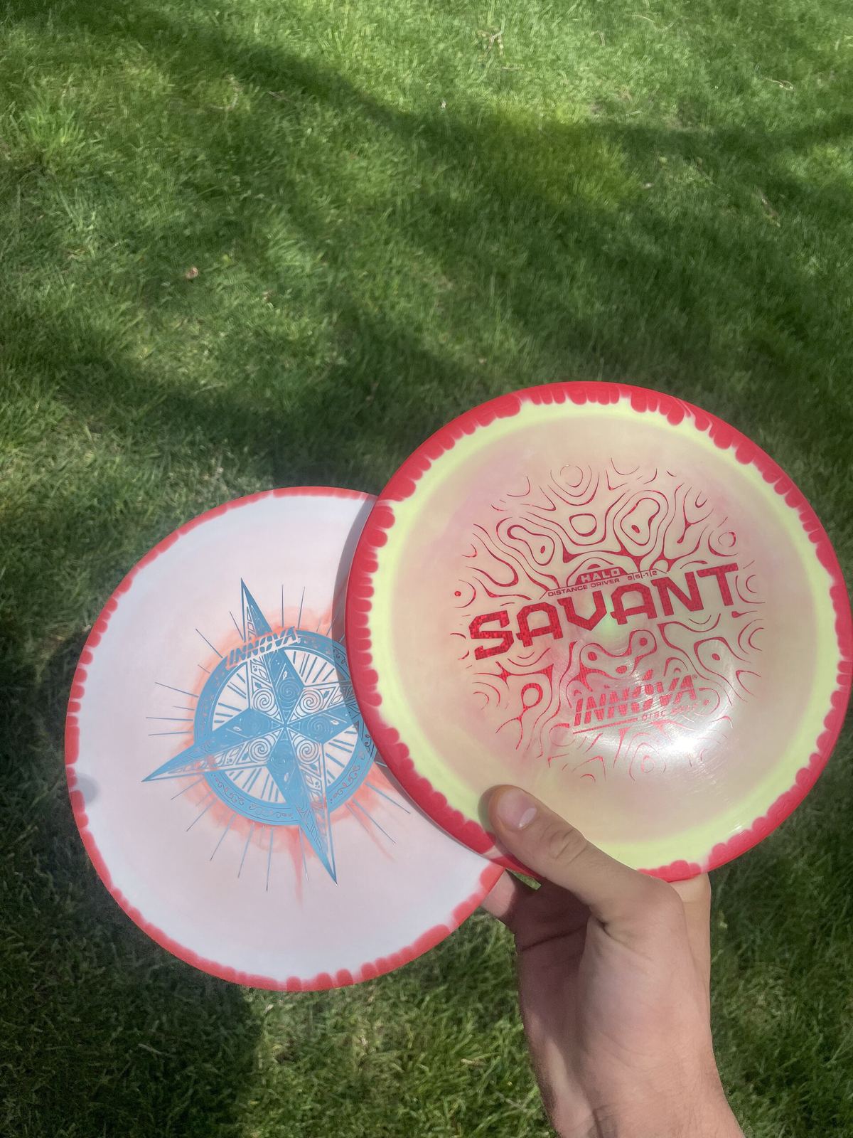 Hand holding two disc golf discs